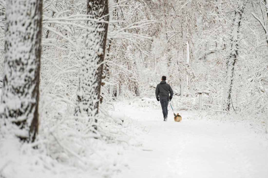 How to Choose a Pair of UK-Friendly Winter Boots