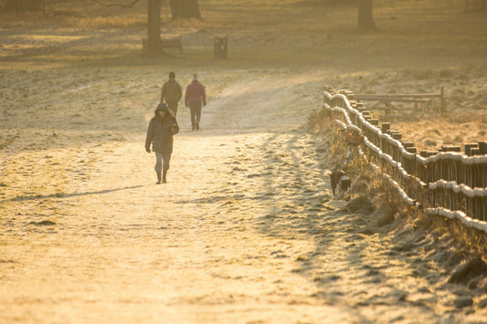 How to Walk Safely on Ice: 9 Tips to Prevent Slips This Winter